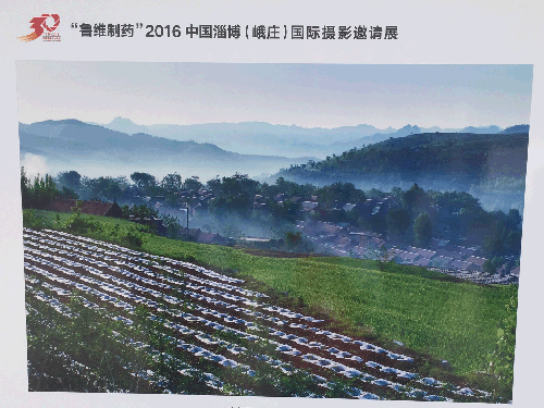 海洋之神·hy590(中国)最新官方网站